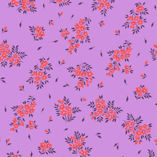 What a Ditz Heliotrope