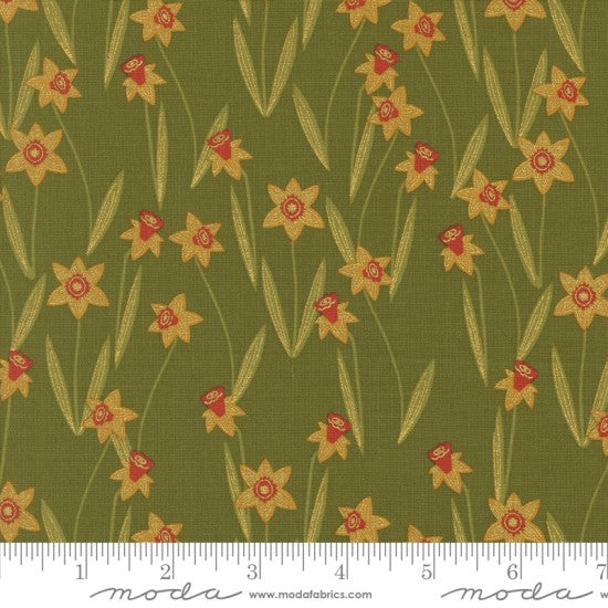 Bee Garden small daffodils with gold highlights on green