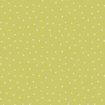 Simply Be - Anni Downs seedling green