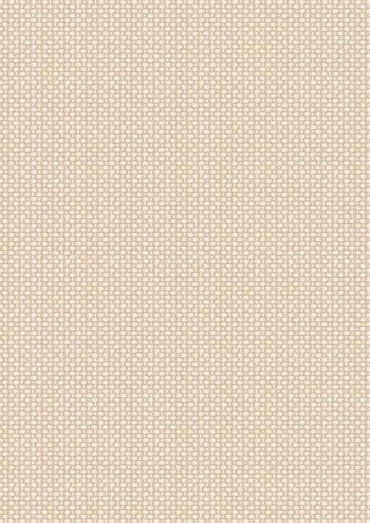 Teddy Bears Picnic - Basket Weave - Cream