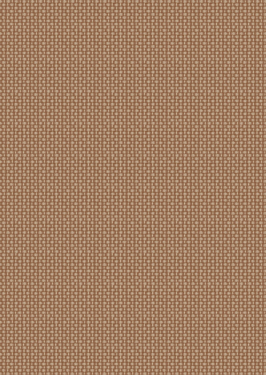 Teddy Bears Picnic - Basket Weave - Brown