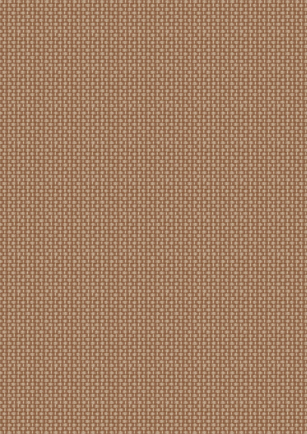 Teddy Bears Picnic - Basket Weave - Brown