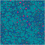 Botanica by Sally Kelly - by Wyndham Fabrics - 100% cotton fabric Periwinkle in Blue