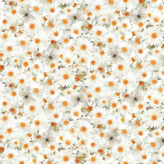 Daisies PATT-ROW CD 2136
