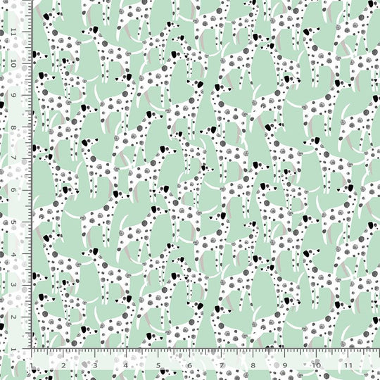 Mutts About You Dotty About you - baltic