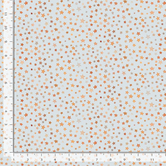 FOREST DREAMS - STARS -MIST