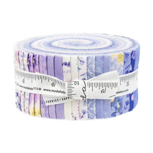Delphinium Janet Clare  jelly roll