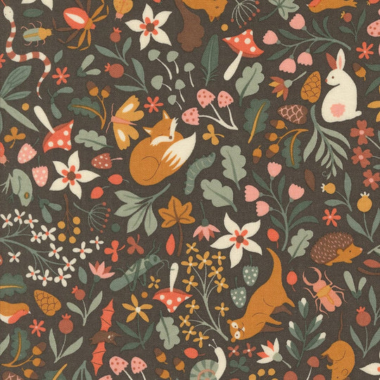 Acorn Hollow Eucalyptus Flora and fauna Soil