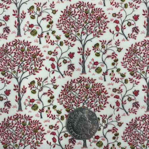 Cotton Lawn raspberry