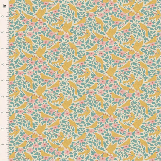 Songbird  - ava teal