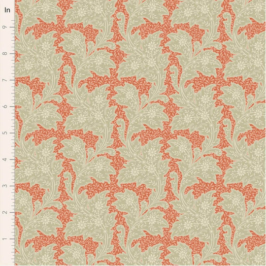 Songbird  - Stella Coral