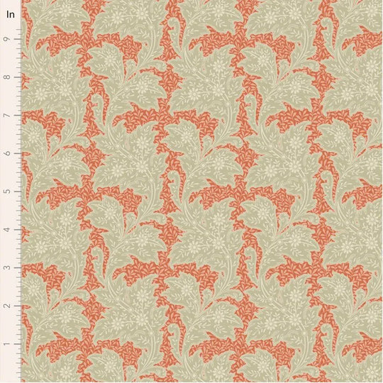 Songbird Stella Coral