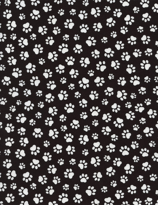 Gail  ; black and white paws