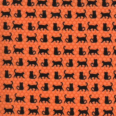 Midnight Magic II cats on orange