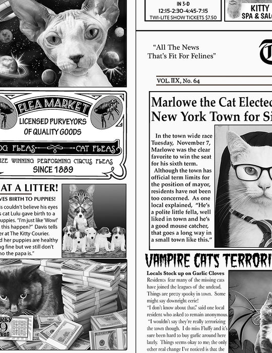 newsprint - Cat