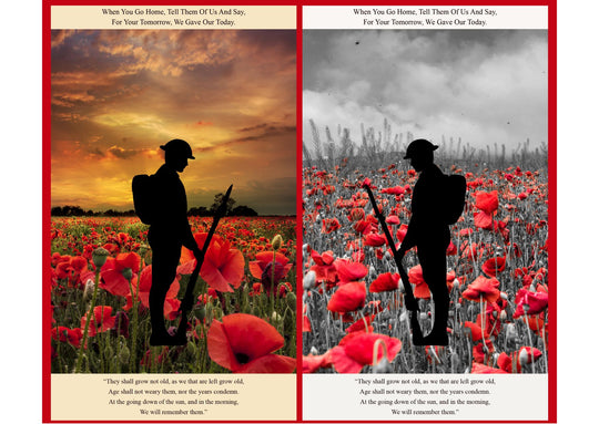 Poppies