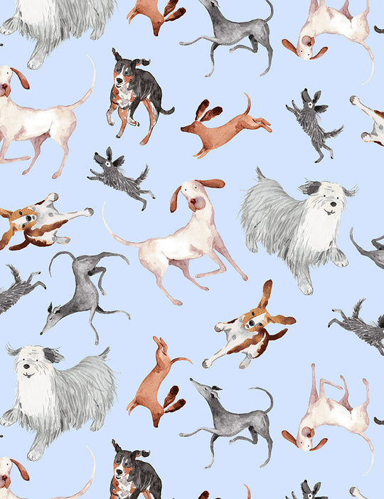 Dog - sky blue - Timeless Treasures - 100% Cotton fabric