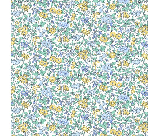 Flower Show Sunrise Forget me Not Blossom