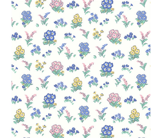 Flower Show Sunrise Kensington Gardens