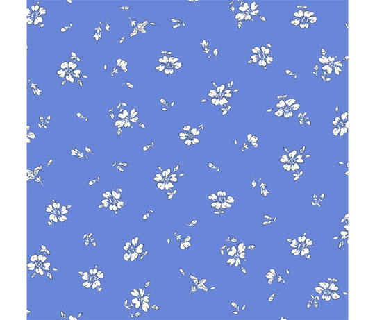 Flower Show Sunrise Field Rose