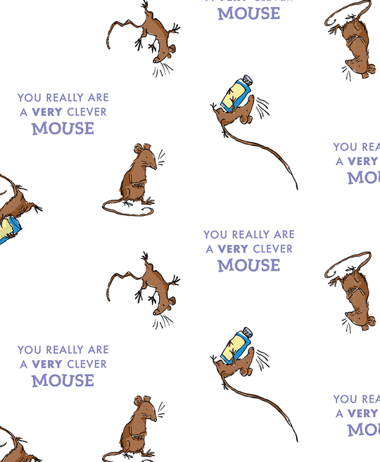 Roald Dahl - A Real Witch - Clever Mouse