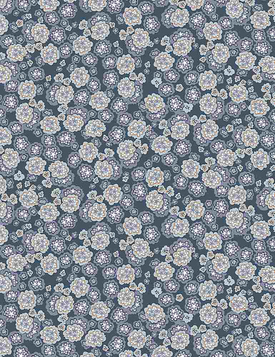 Xanadu ; Galactic Forest  ; stonewash  2065