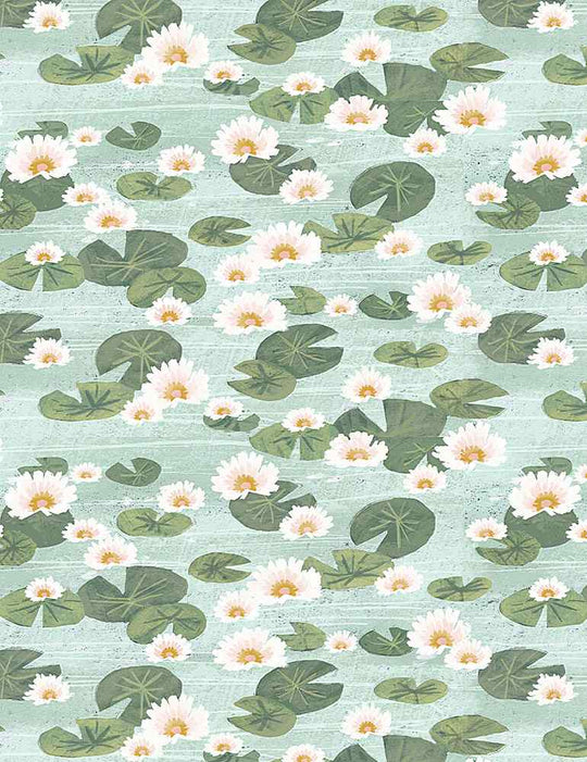 Stella multi DCJ2152