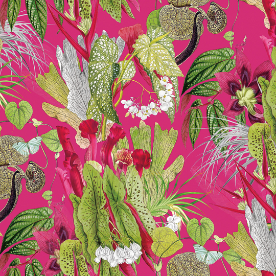 Exotic Cerise Velvet from Chatham Glyn