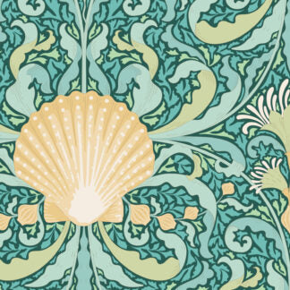 Cotton Beach  Scallop shell teal