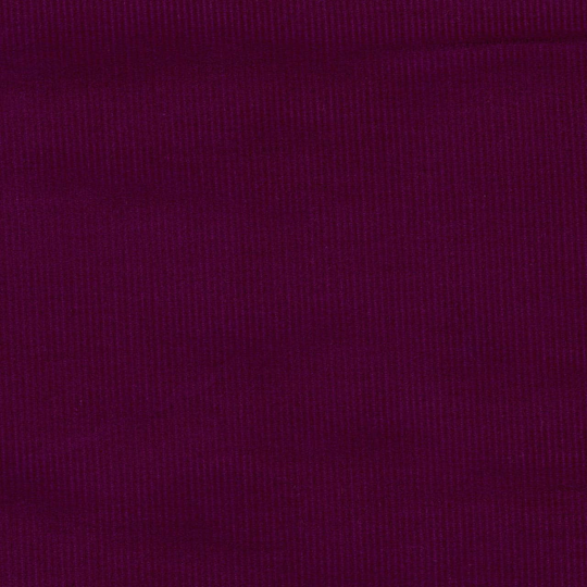 Dashwood Needlecord in Wine