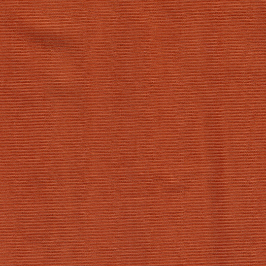 Dashwood Needlecord in Ginger