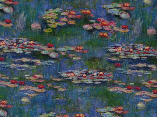 Water Lily Crafty Cotton from Chatham Glyn